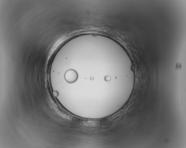 X0000111010102200906191216