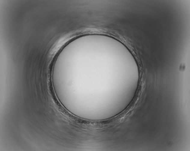 X0000111010103200906191216
