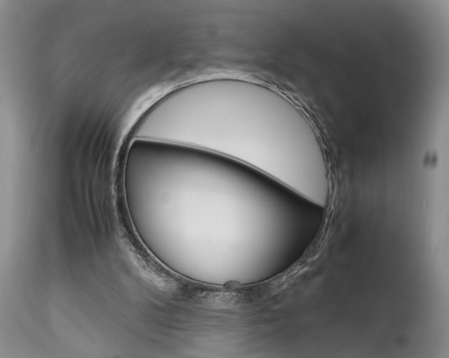 X0000111010104200906191216