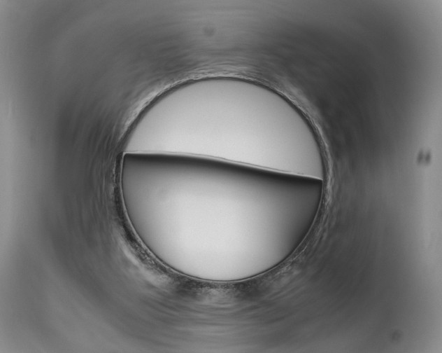 X0000111010107200906191216