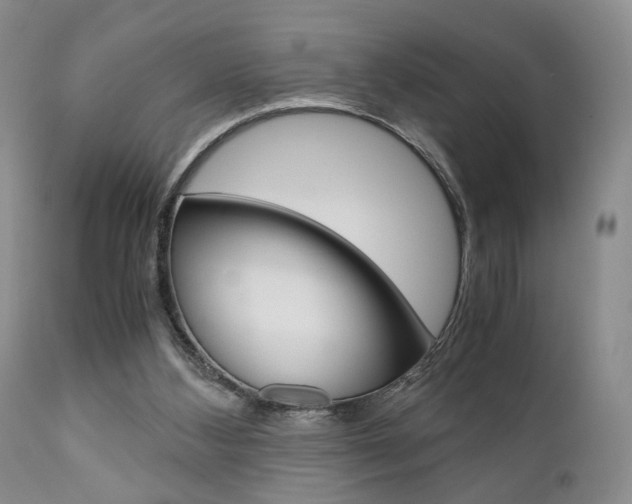 X0000111010108200906191216