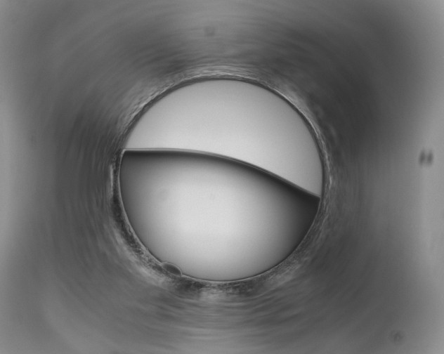 X0000111010109200906191216