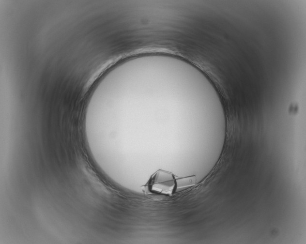 X0000111010112200906191216