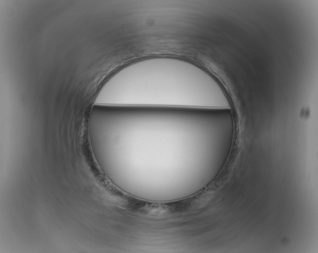 X0000111010113200906191216