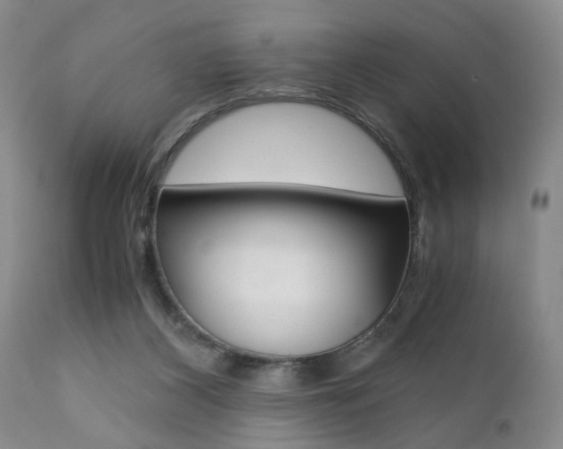 X0000111010116200906191216