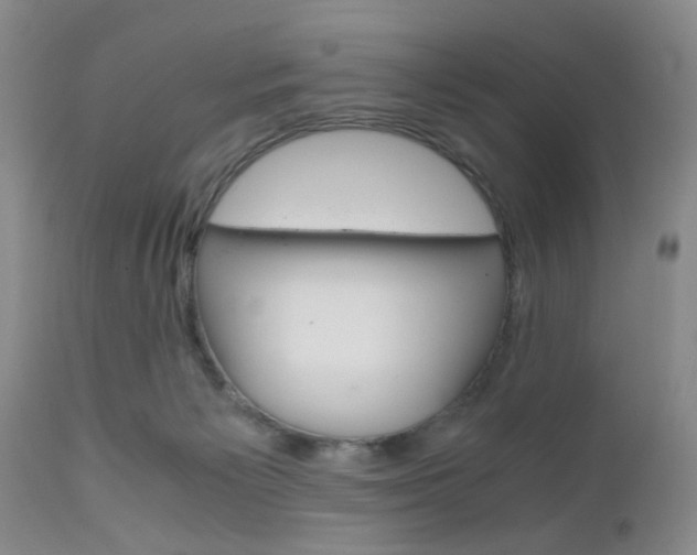 X0000111010125200906191216