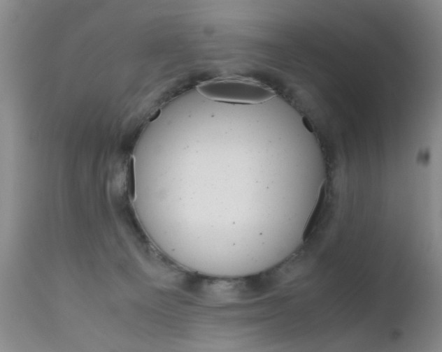 X0000111010129200906191216