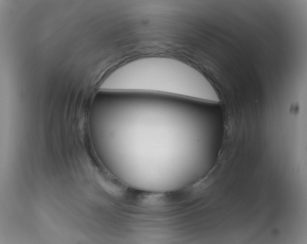 X0000111010132200906191216