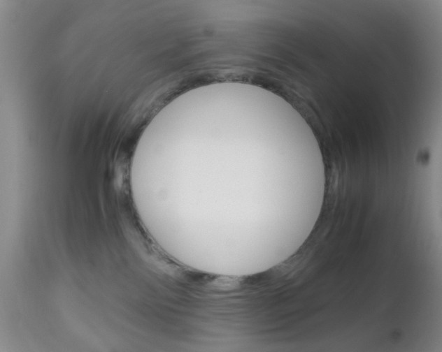 X0000111010138200906191216