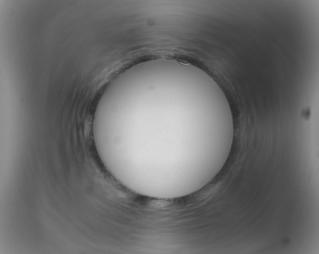 X0000111010139200906191216