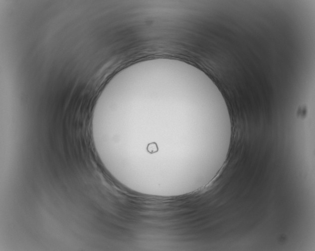 X0000111010140200906191216