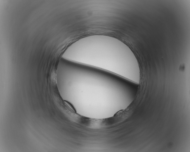 X0000111010143200906191216