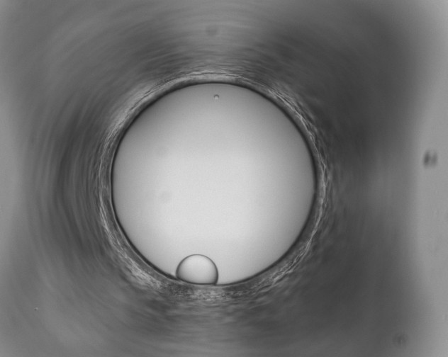 X0000111010145200906191215