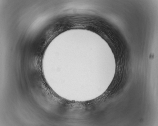 X0000111010146200906191215