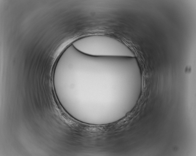 X0000111010147200906191215