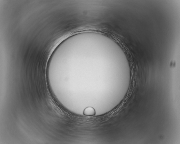 X0000111010148200906191215