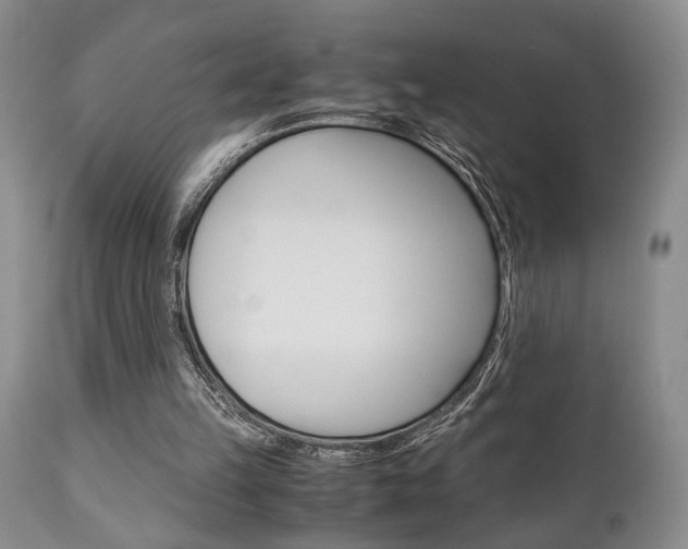 X0000111010149200906191215