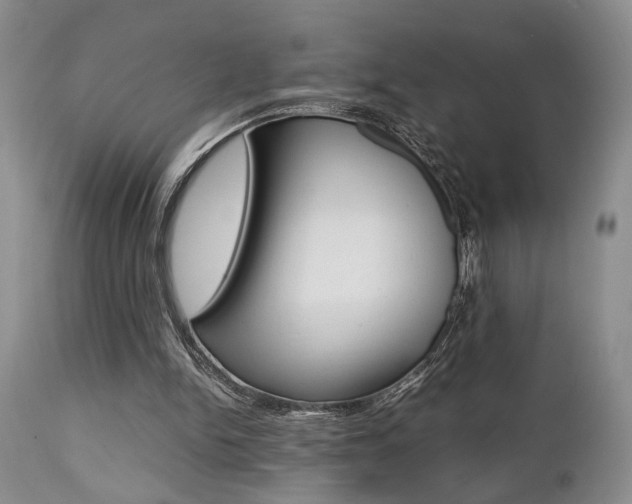 X0000111010150200906191215