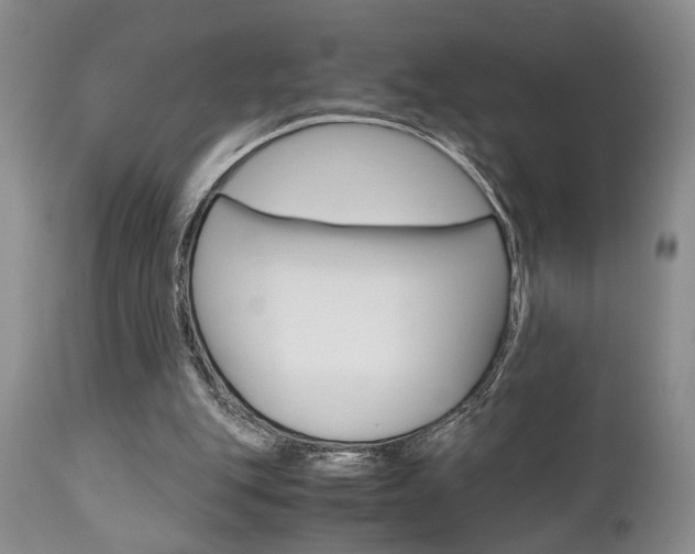 X0000111010151200906191215