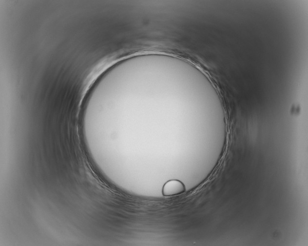 X0000111010152200906191215