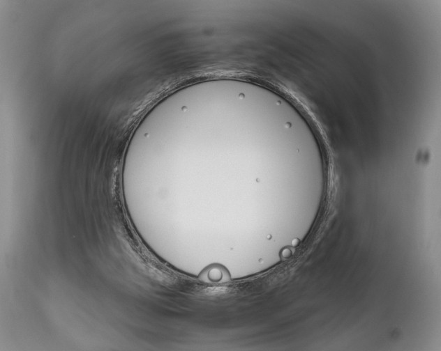X0000111010153200906191215