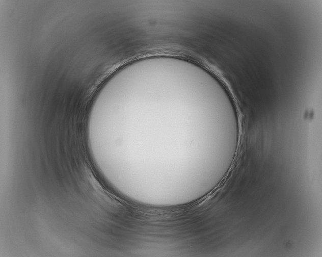 X0000111010154200906191215
