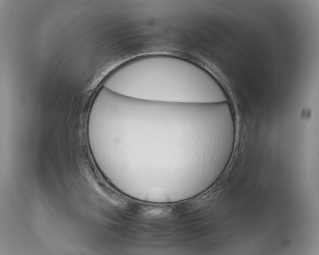 X0000111010155200906191215