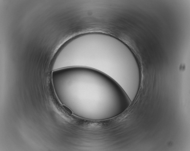 X0000111010156200906191215