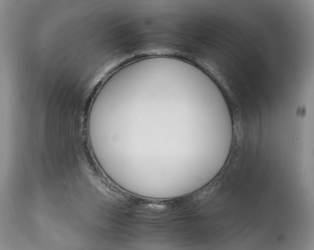X0000111010159200906191215