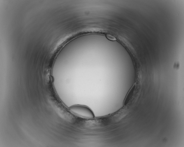 X0000111010160200906191215