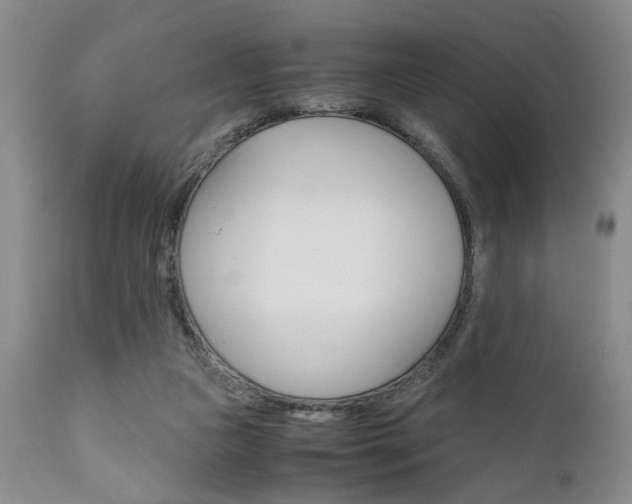 X0000111010161200906191215
