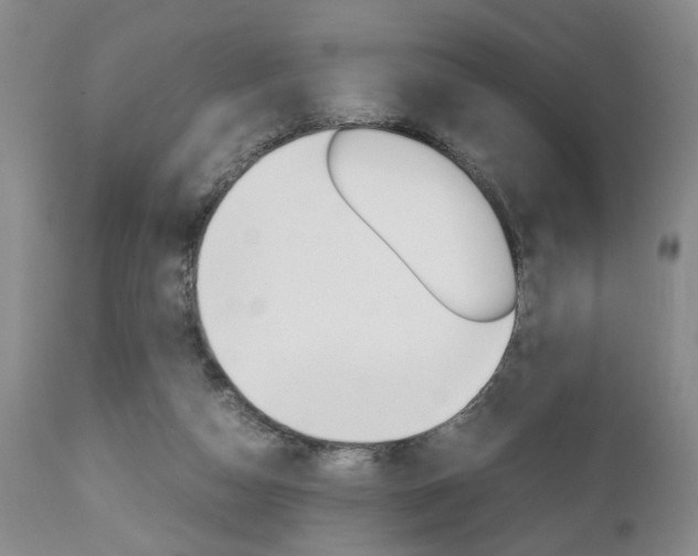 X0000111010162200906191215
