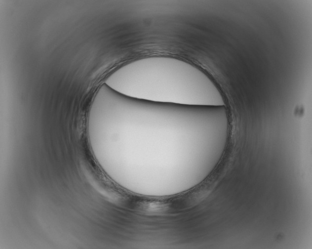 X0000111010165200906191215