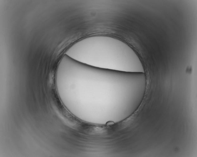 X0000111010166200906191215