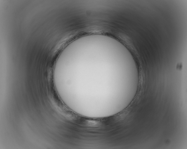 X0000111010167200906191215