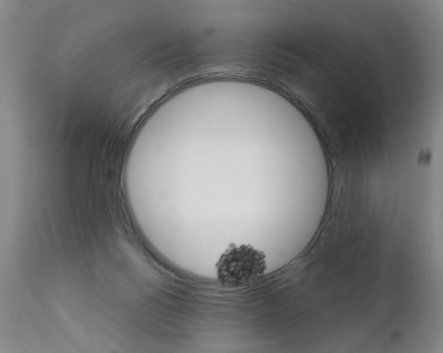 X0000111010168200906191216