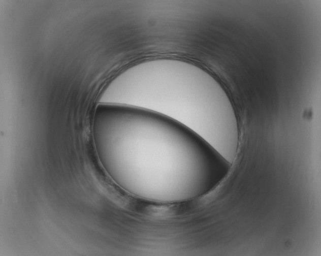 X0000111010170200906191216