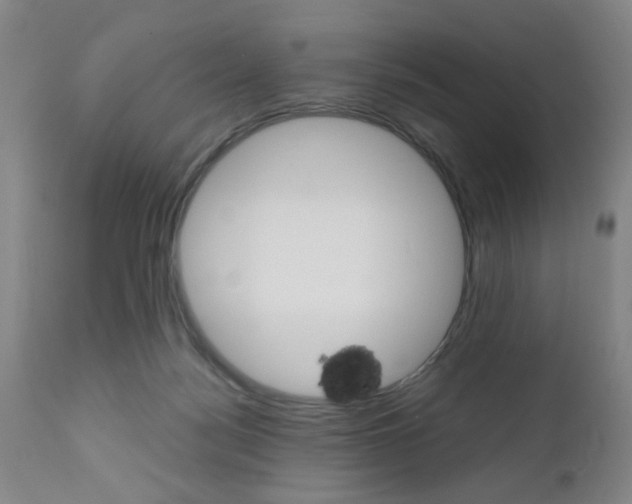 X0000111010172200906191216