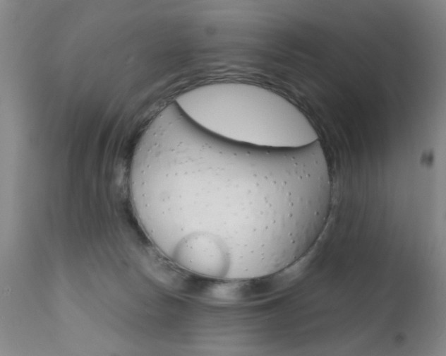 X0000111010178200906191216
