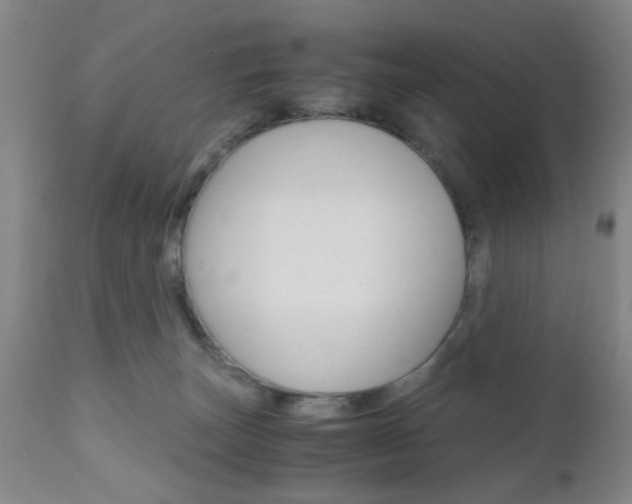 X0000111010179200906191216