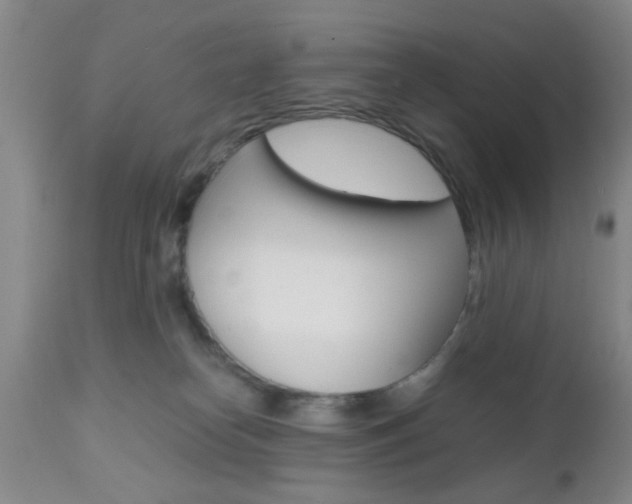 X0000111010182200906191216