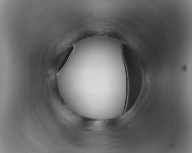 X0000111010184200906191216