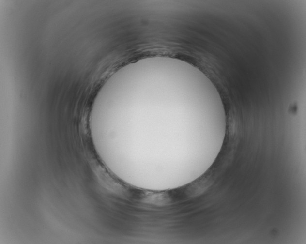 X0000111010185200906191216