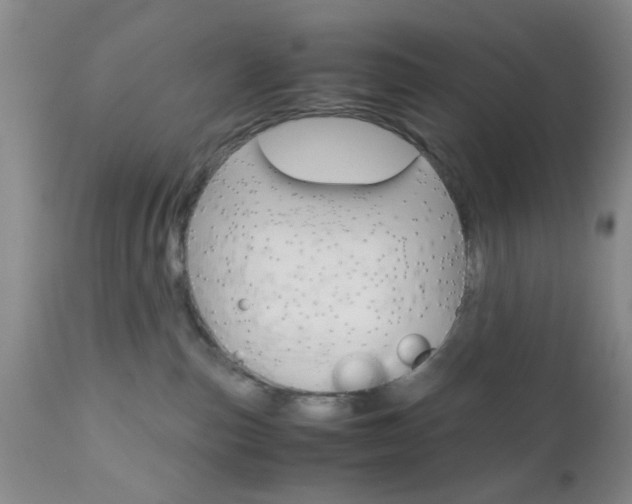 X0000111010187200906191216