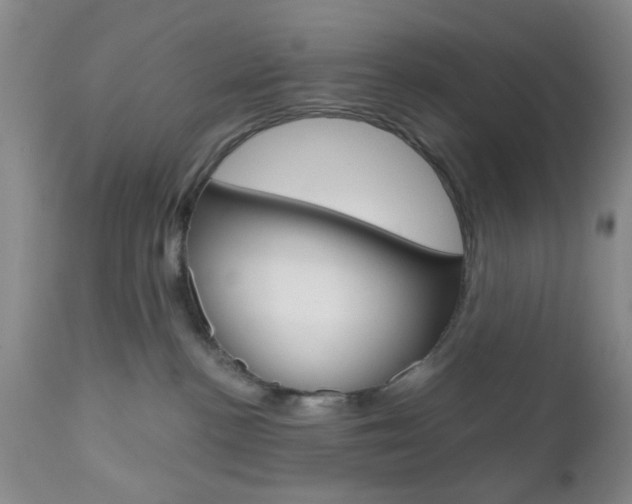 X0000111010188200906191216