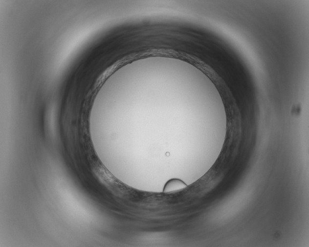 X0000111010189200906191216