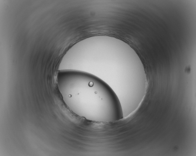 X0000111010190200906191216