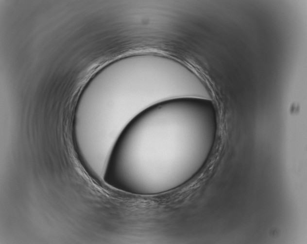 X0000111010193200906191215