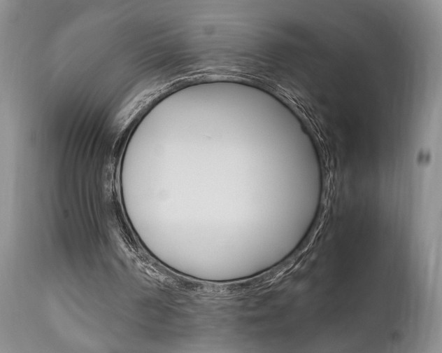 X0000111010194200906191215