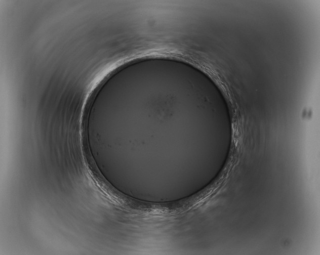X0000111010196200906191215